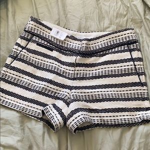AT LOFT Riveria short